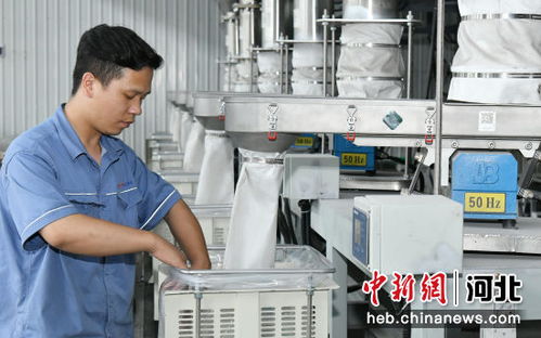 河北任丘 科技賦能企業提檔升級，新材料技術研發引領產業新變革